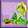 2013 год Чёрной Змеи