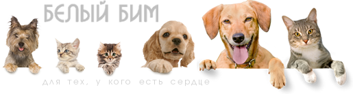 приют для животных Белый Бим