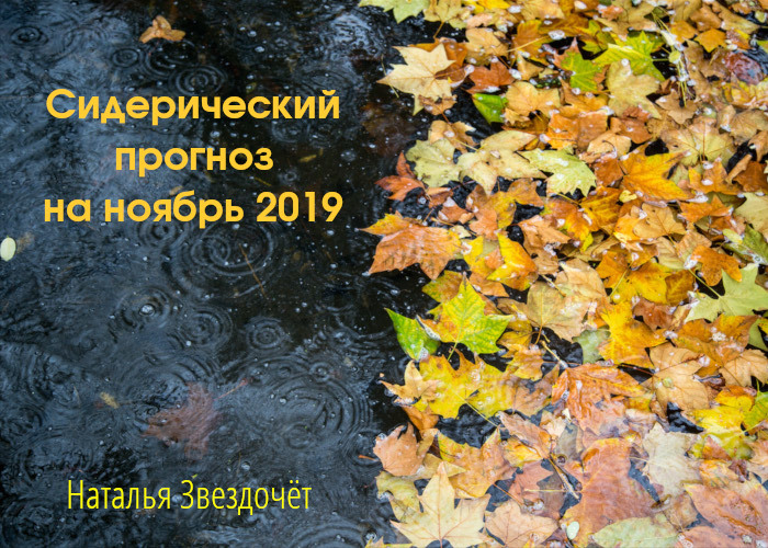 Прогноз на ноябрь 2019