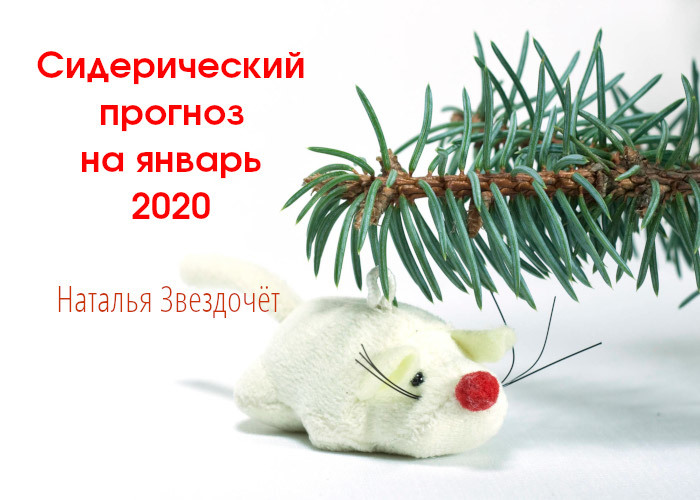Прогноз на январь 2020