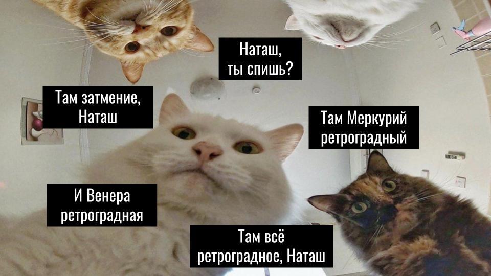 Прогноз на июнь 2020