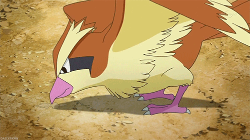 Pidgey Пиджи
