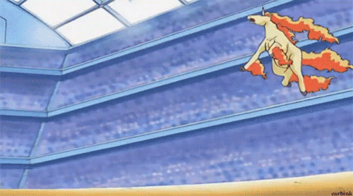 Rapidash Рапидэш