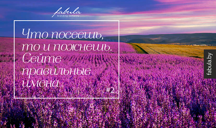 Автор неизвестен