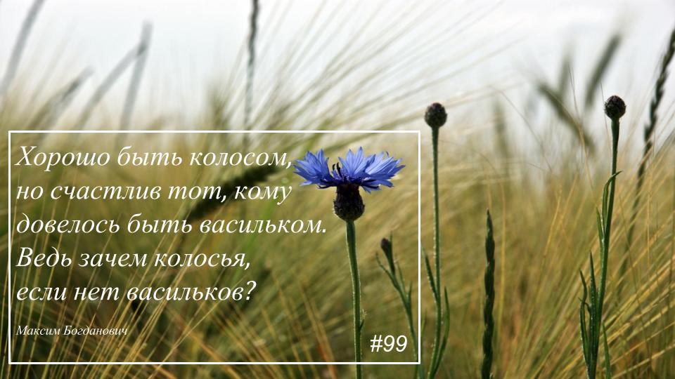 Максим Богданович